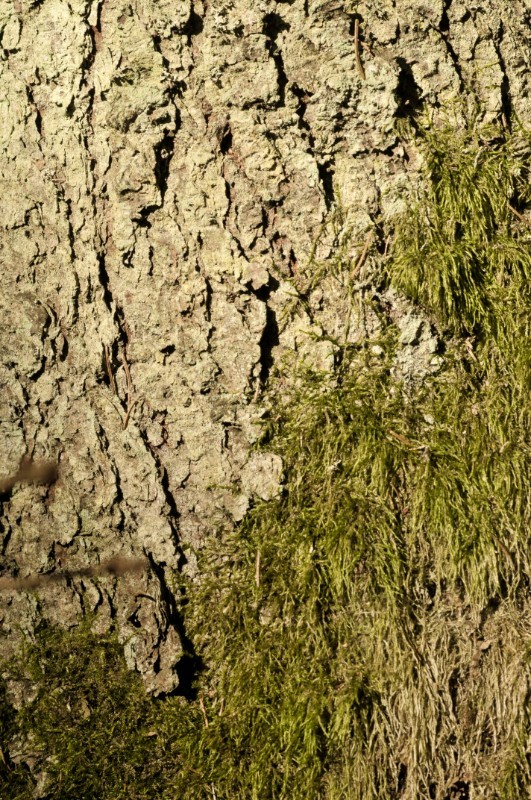Wielkanoc 2010 nr 07.jpg