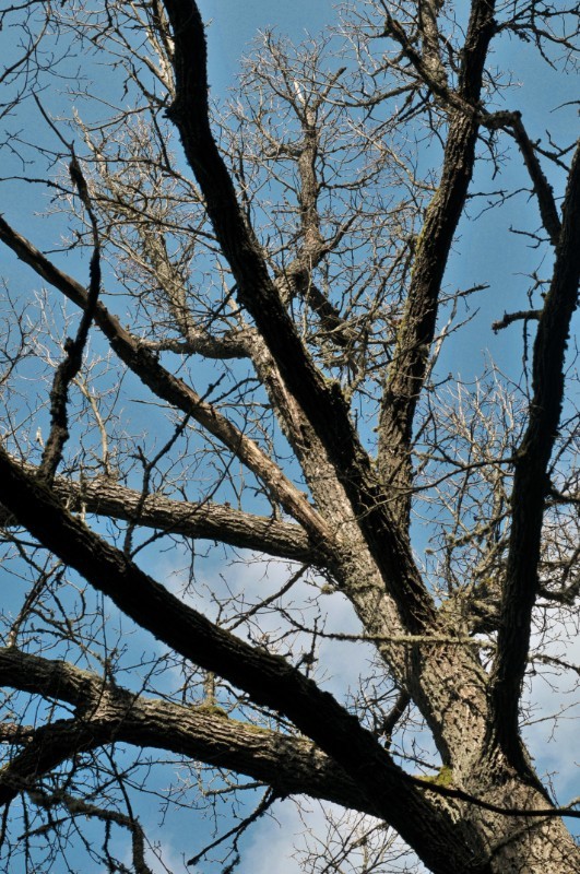 Wielkanoc 2010 nr 09.jpg