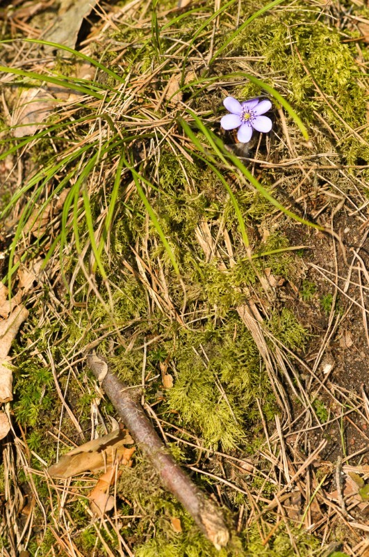 Wielkanoc 2010 nr 14.jpg